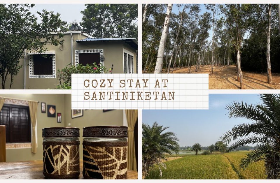 santiniketan-homestay-in-sonajhuri-haat.jpg